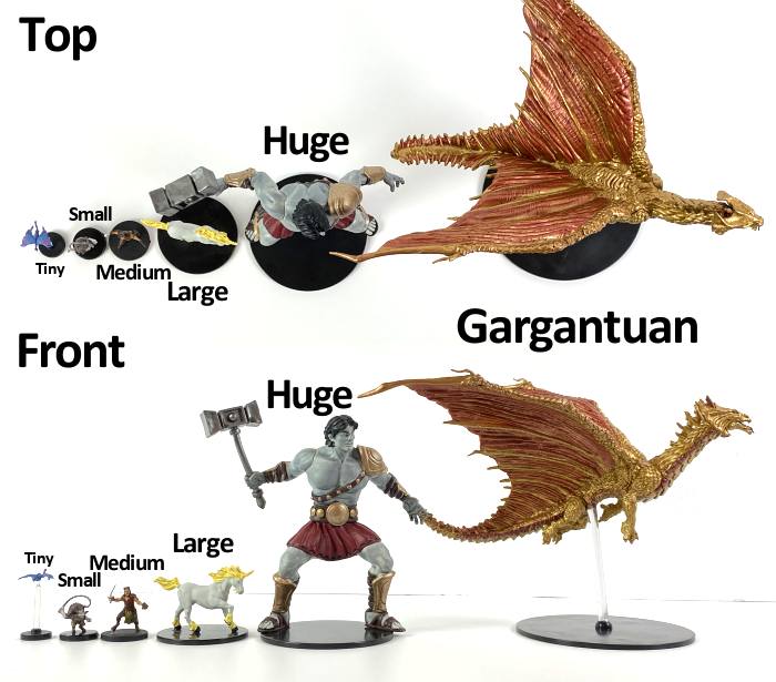 Two pictures of a lineup of different-sized minis with their base size labeled. From left to right there is a tiny faerie dragon (base significantly smaller than 1 inch), a small korred (base smaller than 1 inch), a medium humanoid (1 inch base), a large unicorn (2-inch base), a huge empyrean (3-inch basEe), and a gargantuan ancient brass dragon (4-inch base). The top image is a top-down look at the minis while the bottom image is a front view of the lineup.